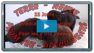 22 Jours... Voici venu le temps des croquettes...!