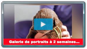 Portée de GUAM : Galerie de portraits