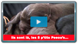 Portée GUAM - 16/03/2017