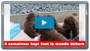 En libert� dans le jardin....