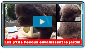 Les p'tits Peeous au Jardin !