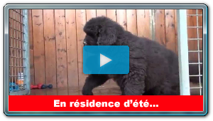 La r�sidence d'�t� des p'tits Peeou's...