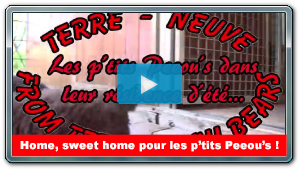 Les p'tits Peeous dans leur r�sidence d'�t�...