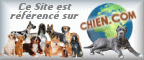 Chien .com : Le Monde Francophone du Chien