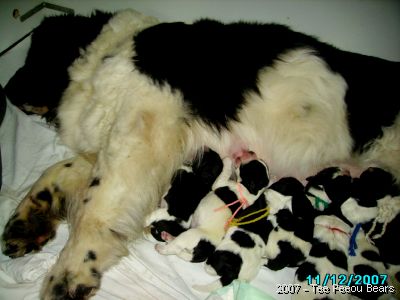 Il y a tout juste assez de place pour tous...