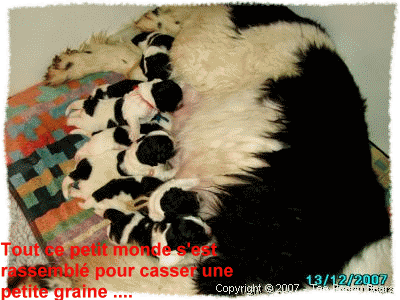A la queue !!...