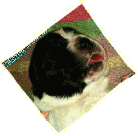 Beurp !! Voil mon gros rototo...