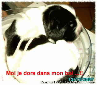 Dans un bol ! Y en a qu'ont des ides parfois ...!