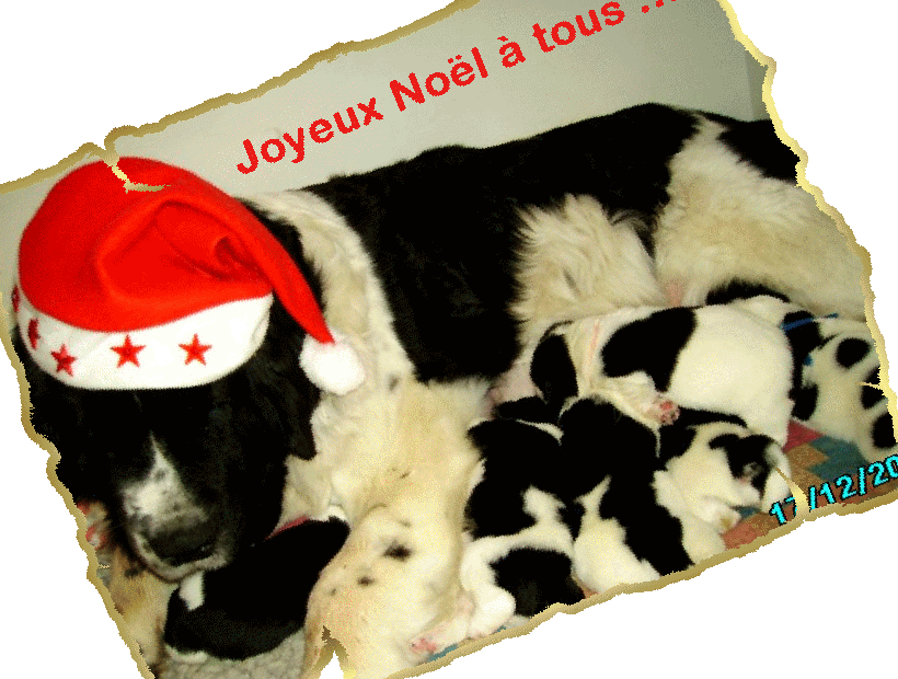 C'est le r�veillon....
