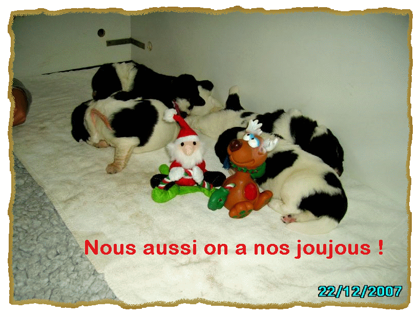 Papa No�l est pass� avec ses cadeaux...