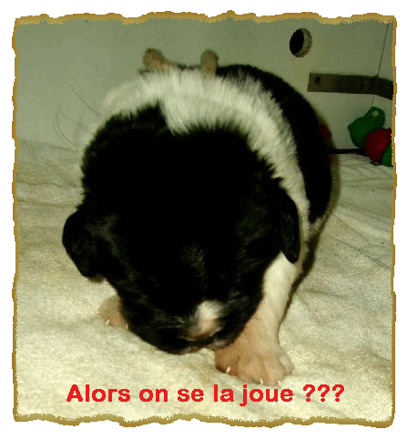 Je viens, je viens...