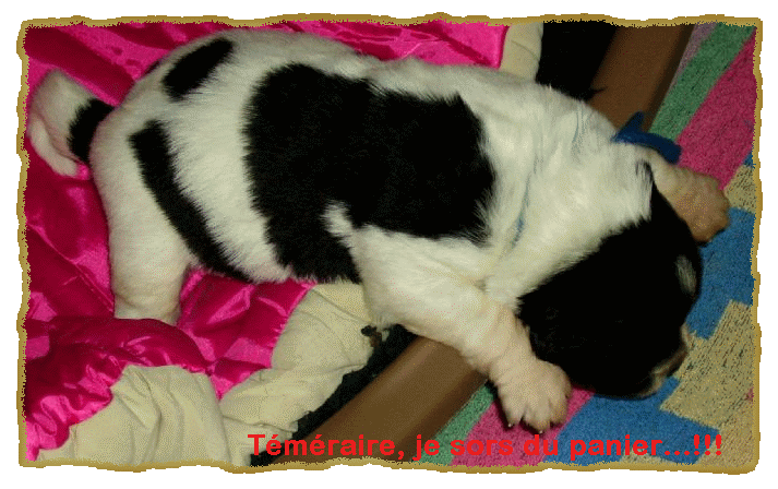 C'est d�cid�, je part !!...