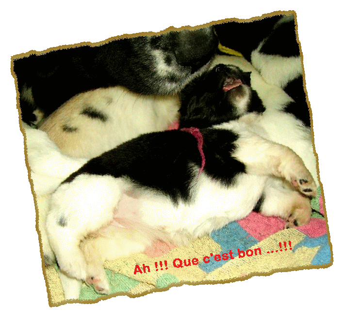 Ahhh !!! C'est le pied...