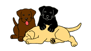 chiens_040.gif