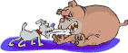 chiens_070_1.gif
