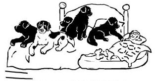 chiens_087.gif