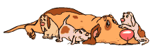 chiens_033.gif
